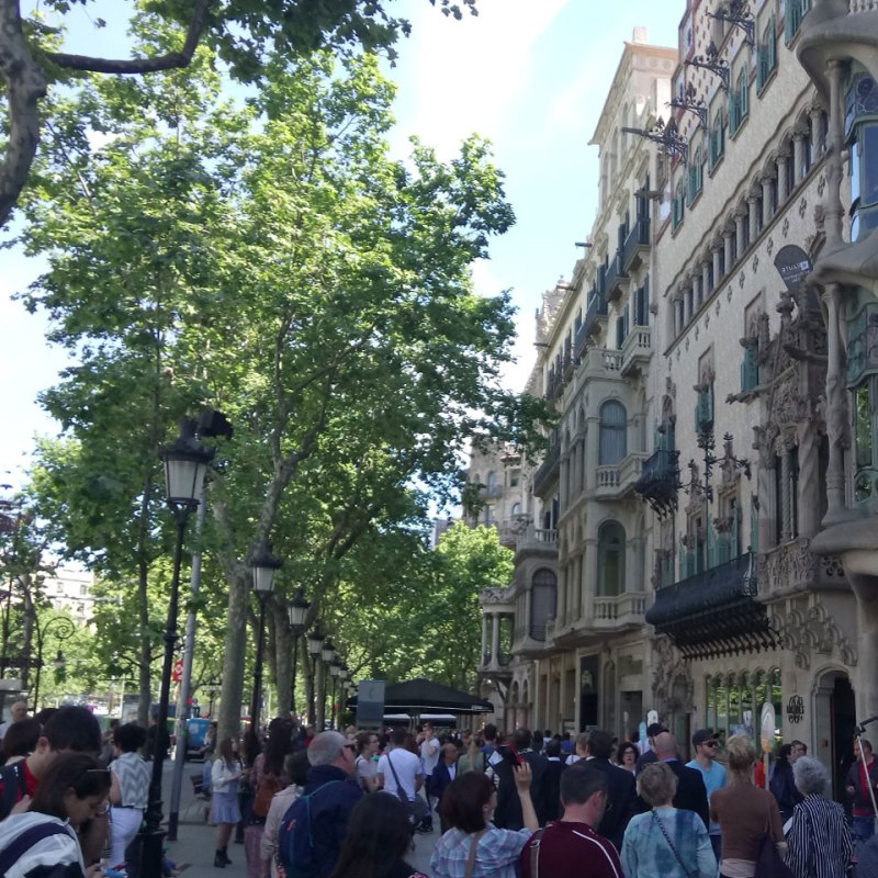Eixample or the Expansion of Modern&nbsp;Barcelona